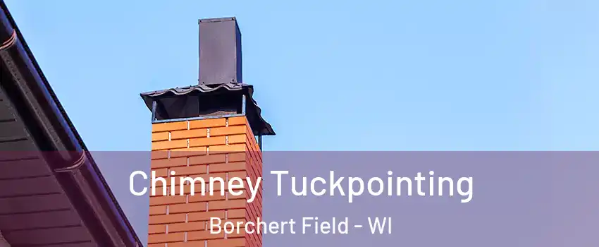 Chimney Tuckpointing Borchert Field - WI