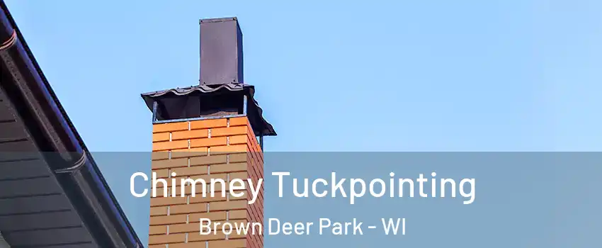 Chimney Tuckpointing Brown Deer Park - WI