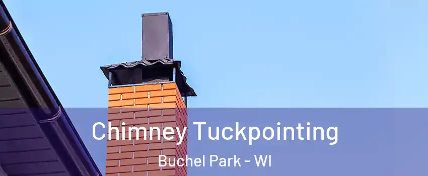 Chimney Tuckpointing Buchel Park - WI