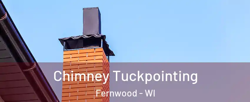 Chimney Tuckpointing Fernwood - WI