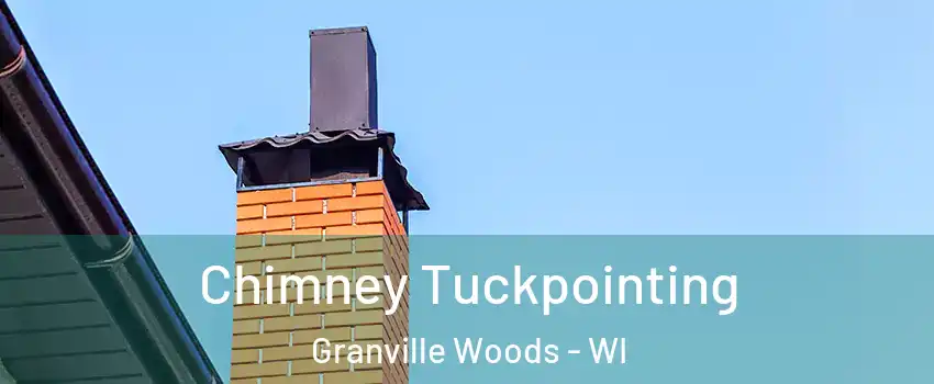 Chimney Tuckpointing Granville Woods - WI