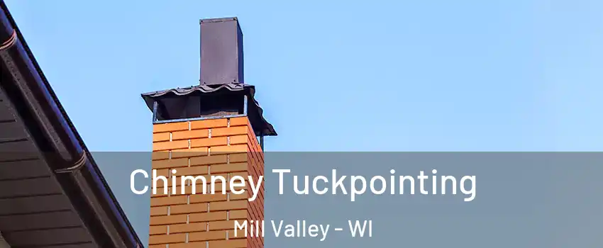 Chimney Tuckpointing Mill Valley - WI