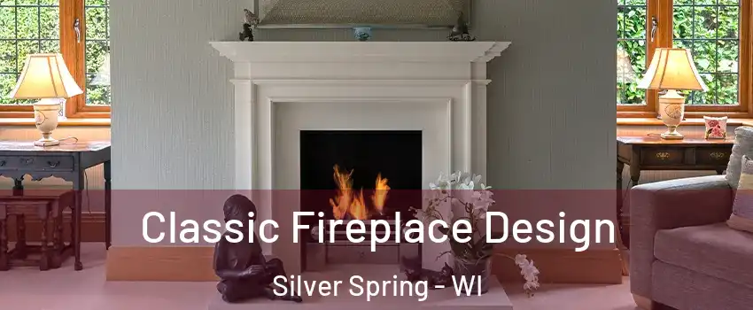 Classic Fireplace Design Silver Spring - WI