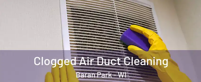 Clogged Air Duct Cleaning Baran Park - WI