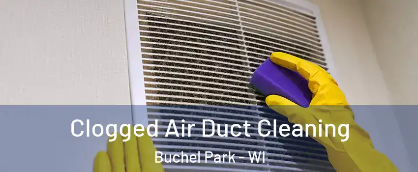 Clogged Air Duct Cleaning Buchel Park - WI