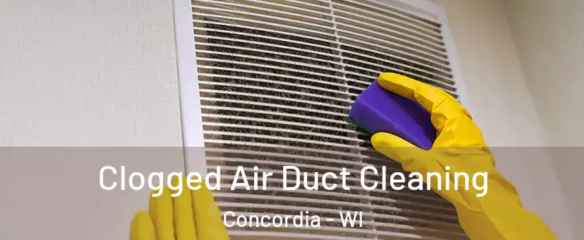 Clogged Air Duct Cleaning Concordia - WI