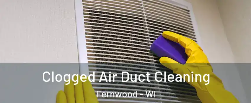 Clogged Air Duct Cleaning Fernwood - WI