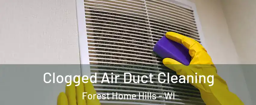 Clogged Air Duct Cleaning Forest Home Hills - WI