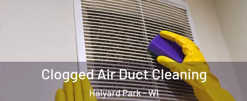 Clogged Air Duct Cleaning Halyard Park - WI