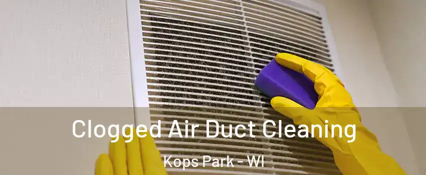 Clogged Air Duct Cleaning Kops Park - WI