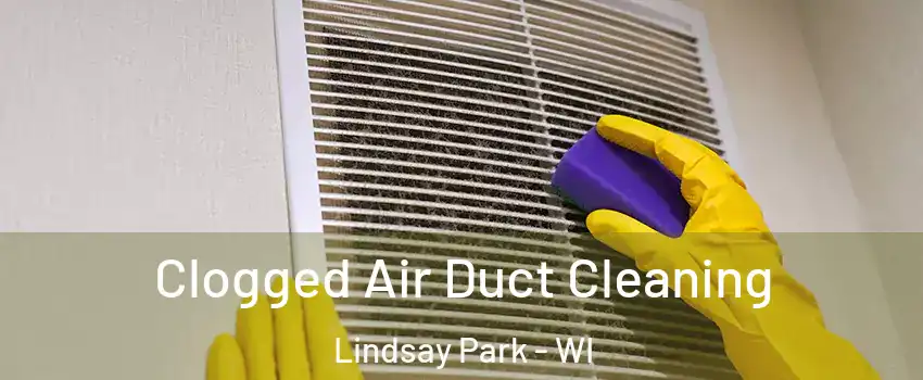 Clogged Air Duct Cleaning Lindsay Park - WI