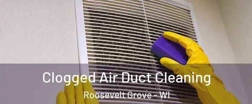 Clogged Air Duct Cleaning Roosevelt Grove - WI