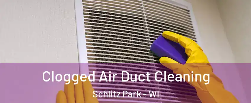 Clogged Air Duct Cleaning Schlitz Park - WI