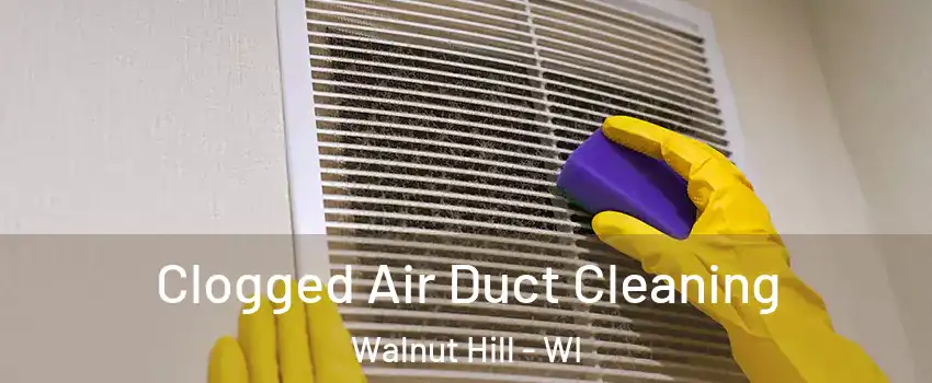 Clogged Air Duct Cleaning Walnut Hill - WI