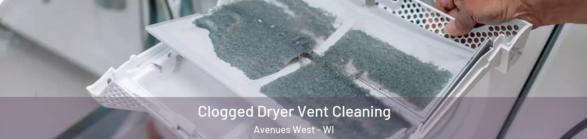 Clogged Dryer Vent Cleaning Avenues West - WI