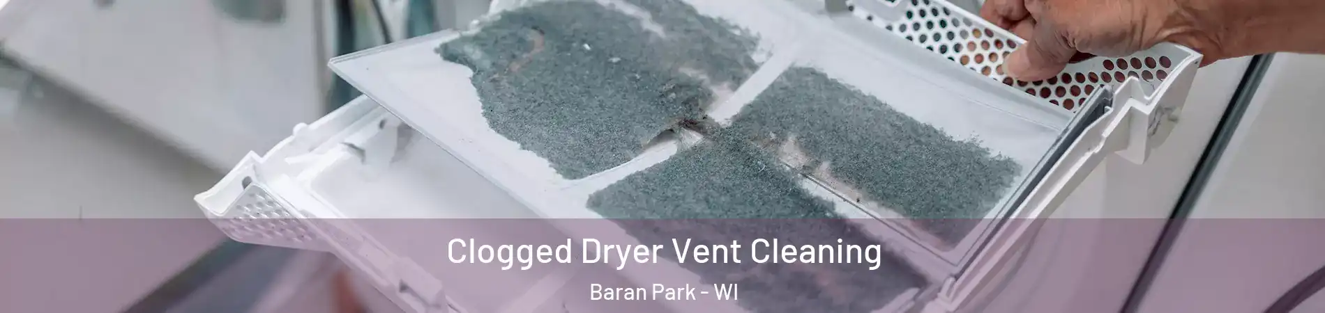 Clogged Dryer Vent Cleaning Baran Park - WI