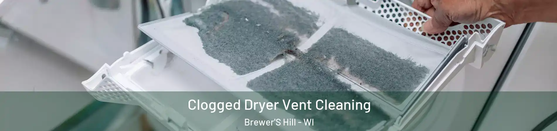 Clogged Dryer Vent Cleaning Brewer'S Hill - WI