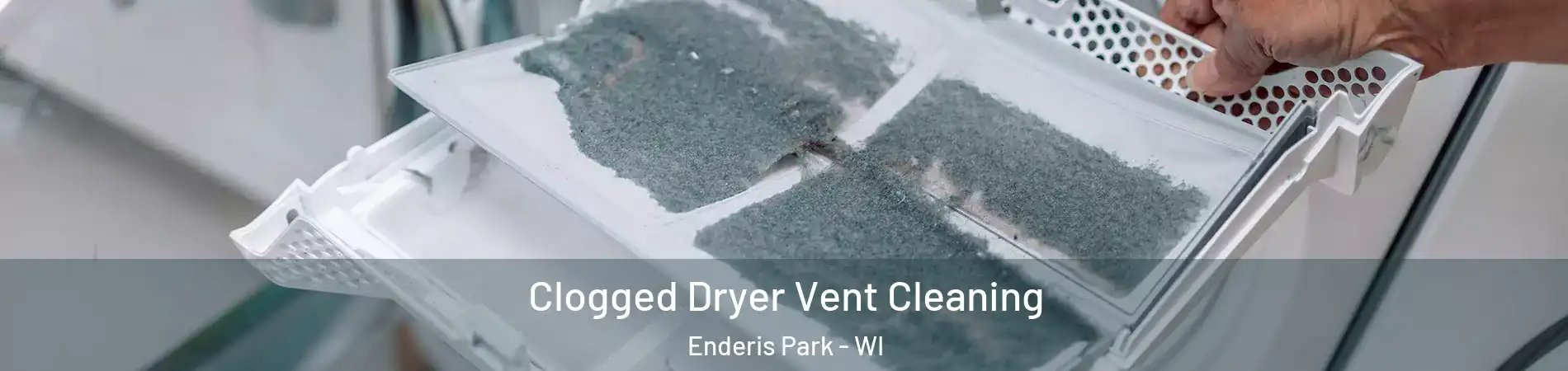 Clogged Dryer Vent Cleaning Enderis Park - WI