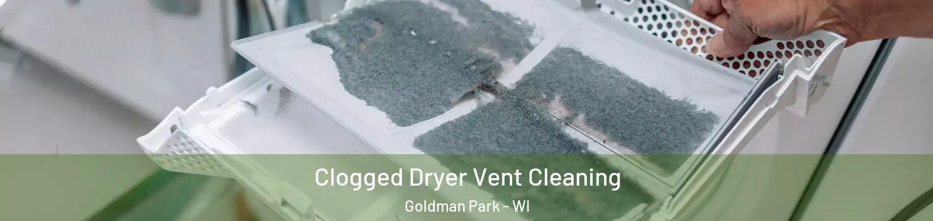 Clogged Dryer Vent Cleaning Goldman Park - WI