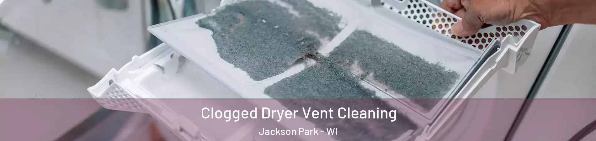 Clogged Dryer Vent Cleaning Jackson Park - WI