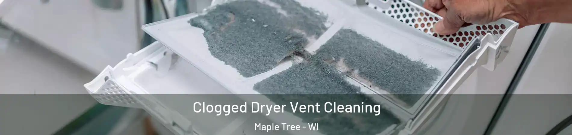 Clogged Dryer Vent Cleaning Maple Tree - WI