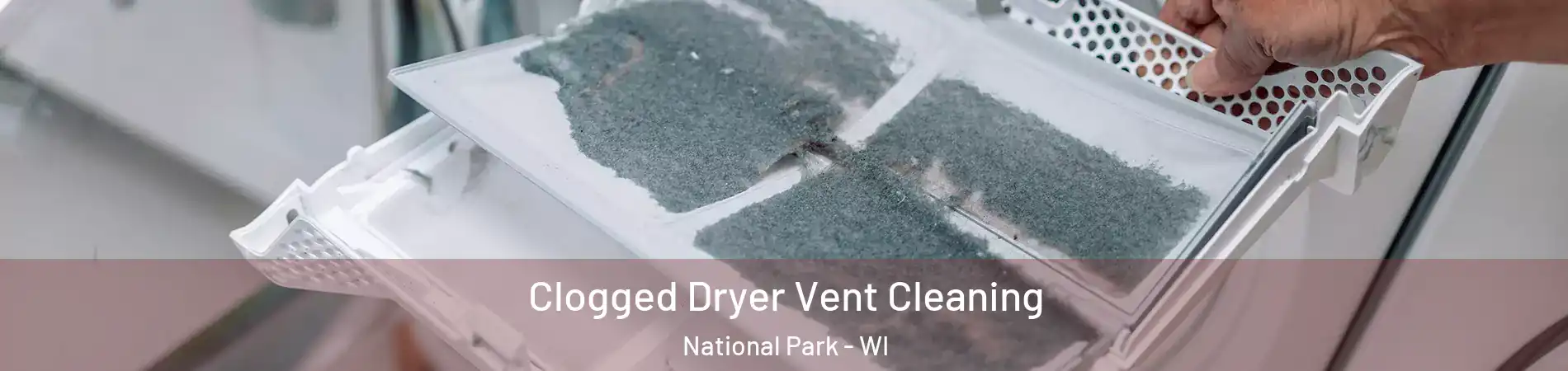 Clogged Dryer Vent Cleaning National Park - WI