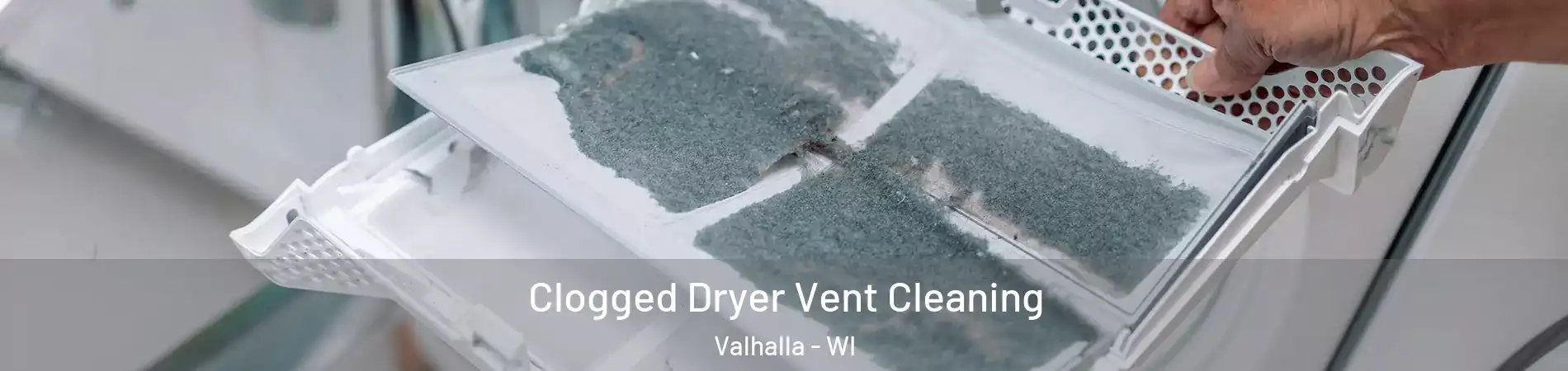 Clogged Dryer Vent Cleaning Valhalla - WI