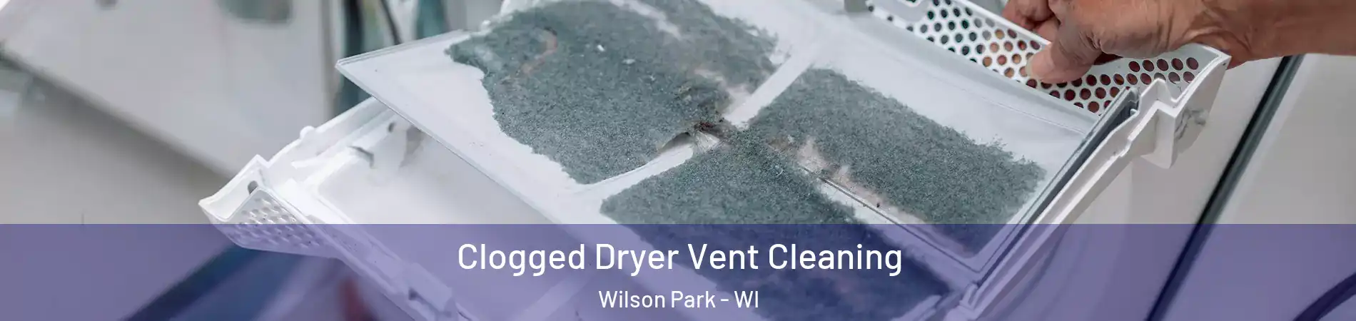 Clogged Dryer Vent Cleaning Wilson Park - WI