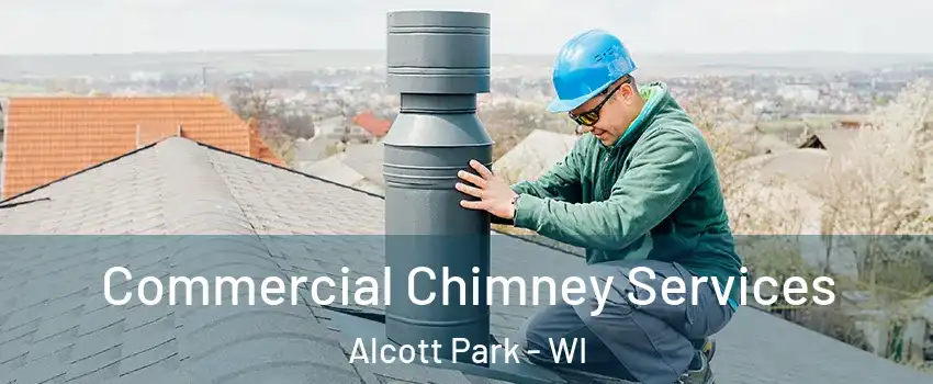 Commercial Chimney Services Alcott Park - WI