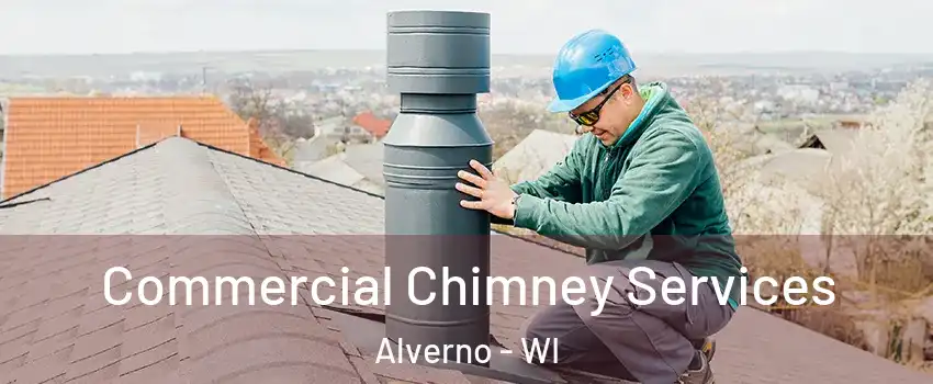 Commercial Chimney Services Alverno - WI