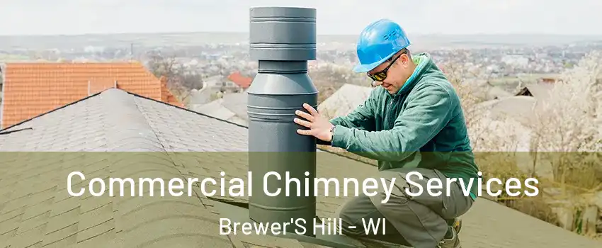 Commercial Chimney Services Brewer'S Hill - WI