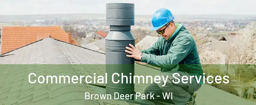 Commercial Chimney Services Brown Deer Park - WI