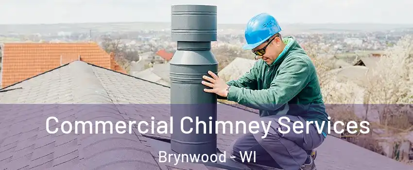 Commercial Chimney Services Brynwood - WI