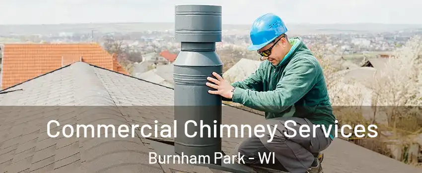 Commercial Chimney Services Burnham Park - WI