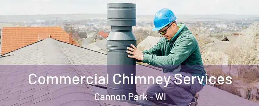 Commercial Chimney Services Cannon Park - WI