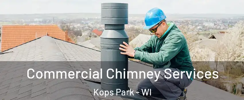 Commercial Chimney Services Kops Park - WI