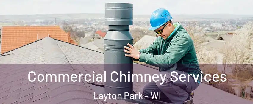 Commercial Chimney Services Layton Park - WI