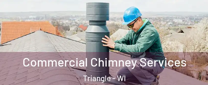 Commercial Chimney Services Triangle - WI