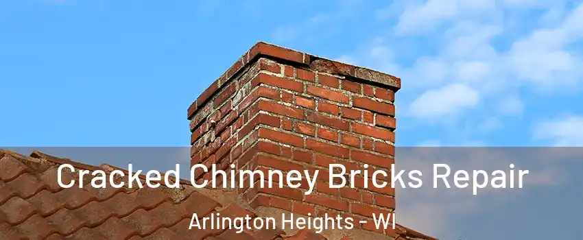 Cracked Chimney Bricks Repair Arlington Heights - WI