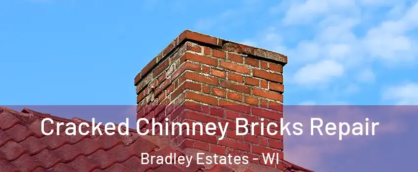 Cracked Chimney Bricks Repair Bradley Estates - WI