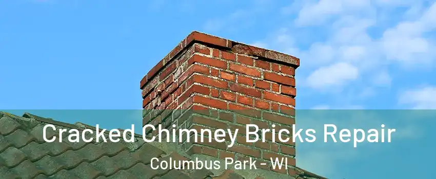 Cracked Chimney Bricks Repair Columbus Park - WI