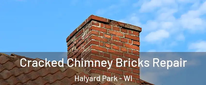 Cracked Chimney Bricks Repair Halyard Park - WI