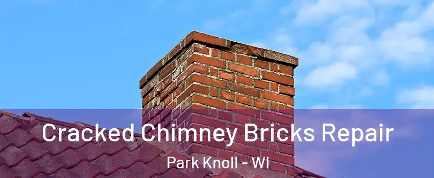 Cracked Chimney Bricks Repair Park Knoll - WI