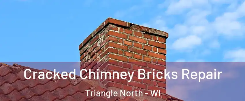 Cracked Chimney Bricks Repair Triangle North - WI