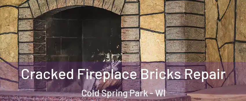 Cracked Fireplace Bricks Repair Cold Spring Park - WI