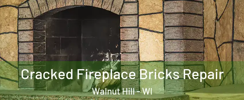 Cracked Fireplace Bricks Repair Walnut Hill - WI