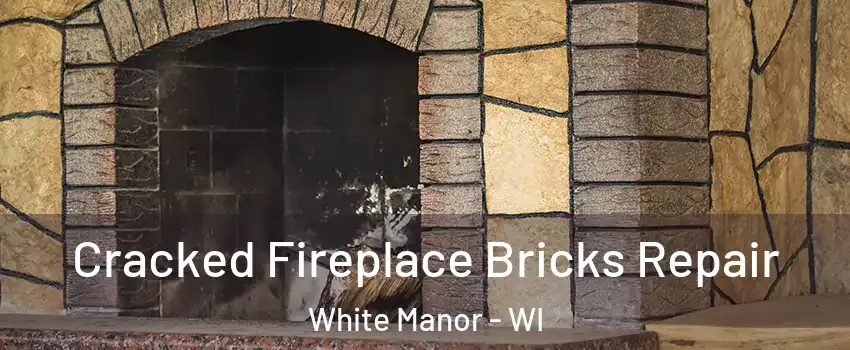 Cracked Fireplace Bricks Repair White Manor - WI