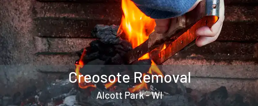 Creosote Removal Alcott Park - WI