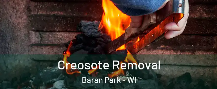 Creosote Removal Baran Park - WI