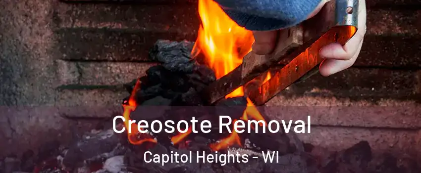 Creosote Removal Capitol Heights - WI